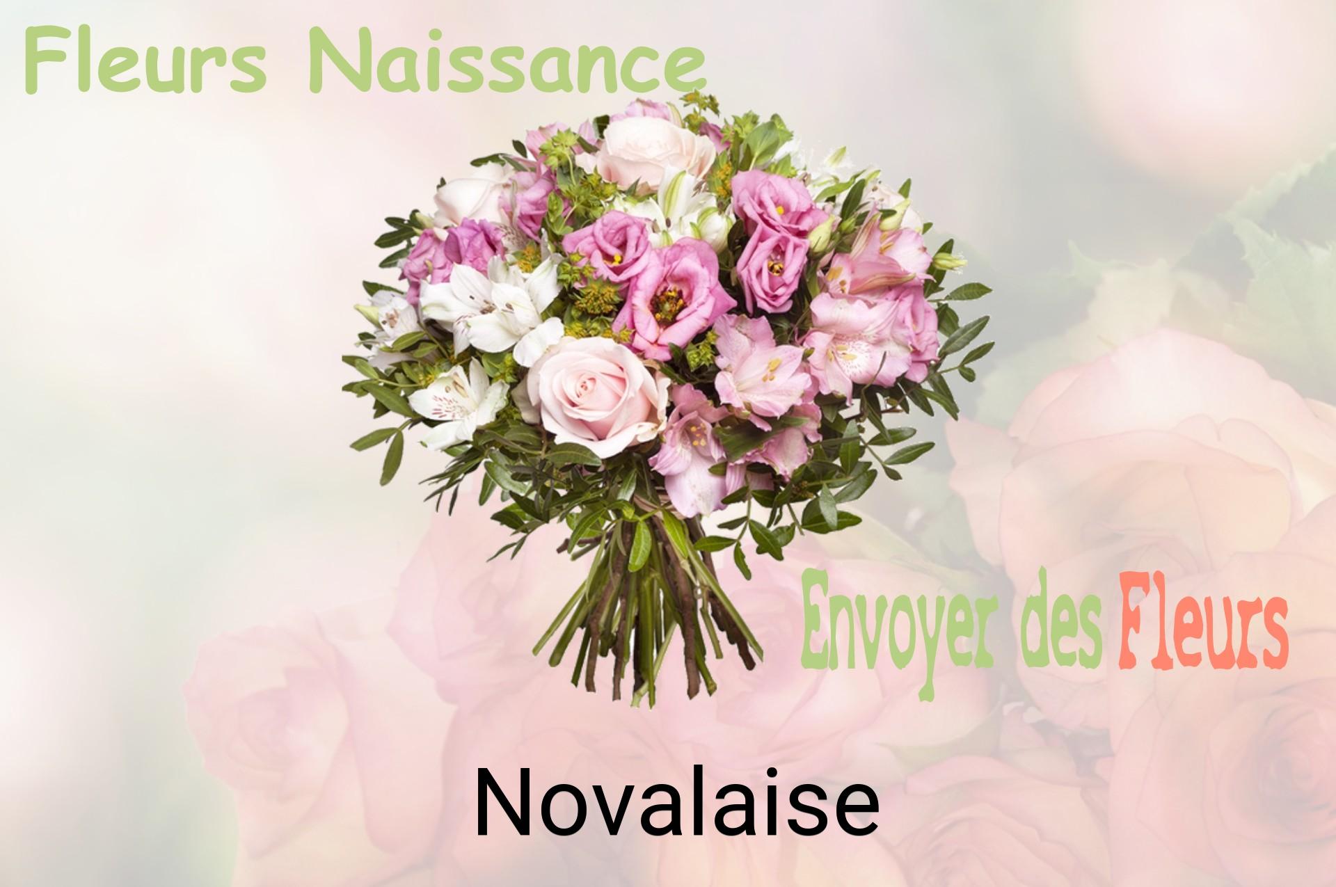 Bouquet de fleurs de naissance livré à Novalaise